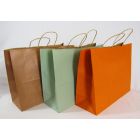 Global Solutions Gift Bag-Medium