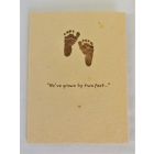 Green Field Grow-a-Note Cards-We've Grown By Two Feet, 5-Pack