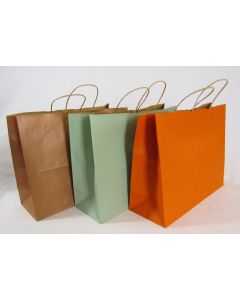 Global Solutions Gift Bag-Medium