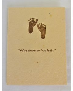 Green Field Grow-a-Note Cards-We've Grown By Two Feet, 5-Pack