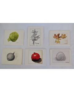 Karen Kaushansky Greeting Cards